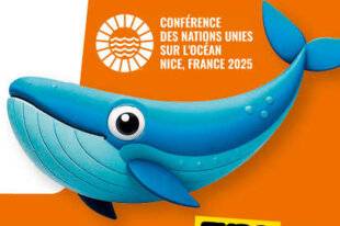 Science & Vie Découvertes 318 TOUS POUR L'OCÉAN !