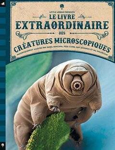 Science & Vie Découvertes 318 TROP FORTS, LES MINIS !
