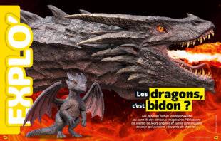 Science & Vie Découvertes 318 Les dragons, c’est bidon ?
