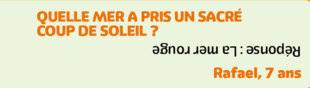 Science & Vie Découvertes 318 LOL