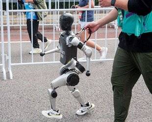 Science & Vie Découvertes 320 COURIR COMME UNE MACHINE