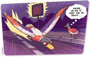 Science & Vie Découvertes 320 SUPER CANARD !