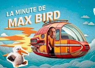 Science & Vie Découvertes 320 LA MINUTE DE MAX BIRD
