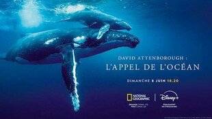 Science & Vie Découvertes 320 L'appel de l'océan