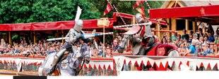 Science & Vie Découvertes 320 … ON ASSISTAIT À UN TOURNOI DE CHEVALIERS ?