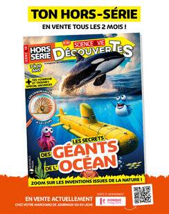 Science & Vie Découvertes 320 SCIENCE & VIE DÉCOUVERTES