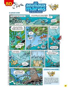 Science & Vie Découvertes 322 Les animaux marins en bande dessinée