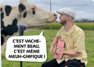 Science & Vie Découvertes 322 BIEN DIT !