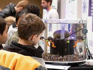 Science & Vie Découvertes 322 LA FÊTE AUX VILLAGES