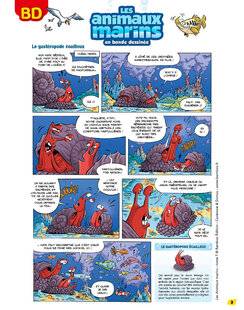 Science & Vie Découvertes 323 LES animaux marins en bande dessinée