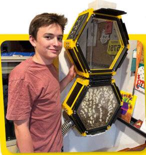 Science & Vie Découvertes 323 RUCHE D'INTÉRIEUR