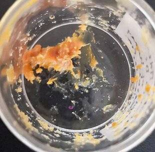 Science & Vie Découvertes 323 MIEL ANTIQUE