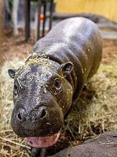 Science & Vie Découvertes 323 BIENVENUE AUX NOUVEAUX !