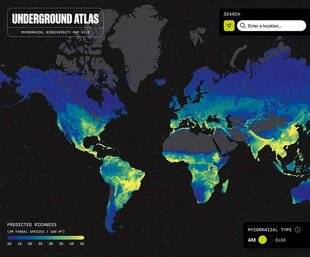Science & Vie Découvertes 324 CHAMPIGNONS CONNECTÉS