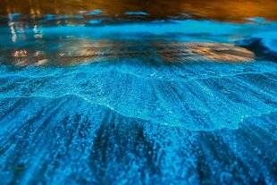 Science & Vie Découvertes 324 SHOW LUMINEUX