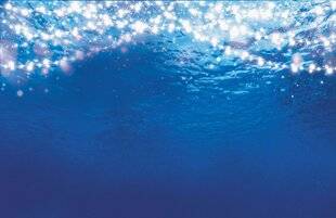 Science & Vie Découvertes 324 MYSTÉRIEUSES MERS LACTÉES