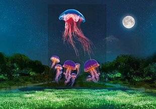 Science & Vie Découvertes 324 TU PEUX ADMIRER DES ESPÈCES BIOLUMINESCENTES