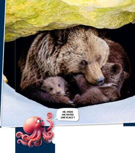 Science & Vie Découvertes 324 Un HIVER, les YEUX FERMÉS !