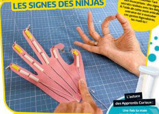 Science & Vie Découvertes 324 FABRIQUE TA MAIN ARTICULÉE POUR REPRODUIRE LES SIGNES DES NINJAS