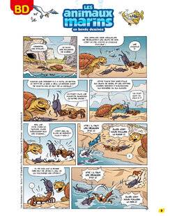 Science & Vie Découvertes 325 LES animaux marins