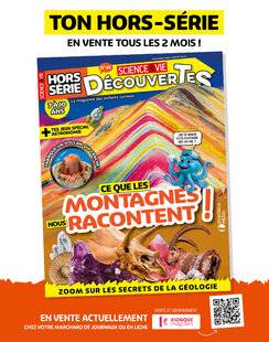 Science & Vie Découvertes 325 SCIENCE & VIE DÉCOUVERTES