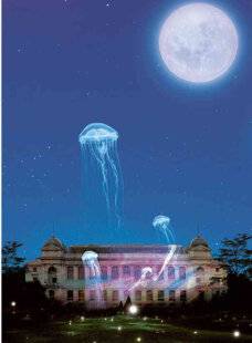 Science & Vie Découvertes 325 ILLUMINATEUR de NATURE