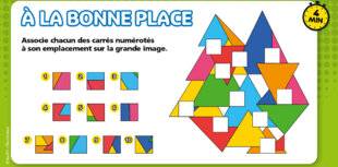 Science & Vie Découvertes 325 C’EST LOGIQUE !