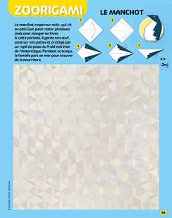 Science & Vie Découvertes 325 LE MANCHOT