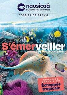 Science & Vie Découvertes 325 DANS L'AMBIANCE