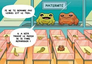 Science & Vie Découvertes 326 IL N'Y A PAS DE TÊTARDS !