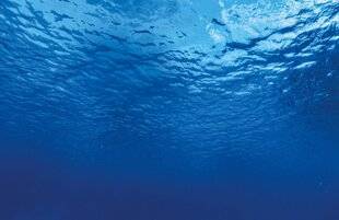 Science & Vie Découvertes 326 Cap sur LA HAUTE MER !