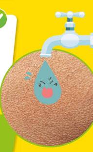 Science & Vie Découvertes 326 Certains humains sont allergiques à l'eau.