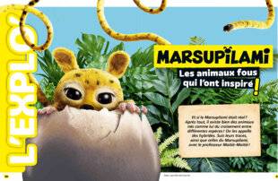 Science & Vie Découvertes 326 Les animaux fous