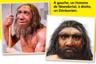 Science & Vie Découvertes 326 L'HUMAIN AUSSI EST UN HYBRIDE !