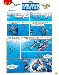 Science & Vie Découvertes 326 Les animaux marins
