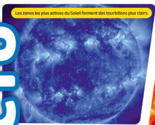 Science & Vie Découvertes 327 BYE-BYE