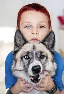 Science & Vie Découvertes 327 On peut avoir les yeux