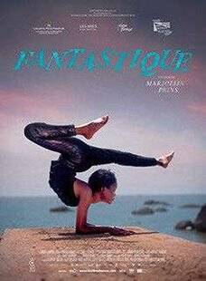 Science & Vie Découvertes 327 Fantastique