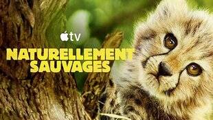 Science & Vie Découvertes 327 Naturellement sauvages