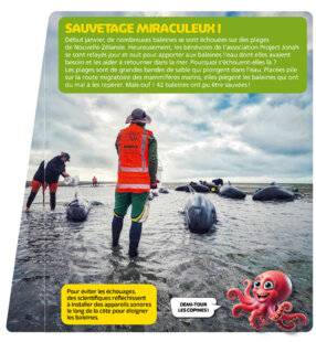 Science & Vie Découvertes 328 SAUVETAGE MIRACULEUX !