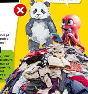 Science & Vie Découvertes 328 VRAI OU PAS ?