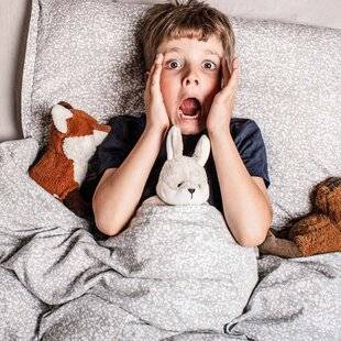 Science & Vie Découvertes 328 POURQUOI A-T-ON PARFOIS LA SENSATION DE TOMBER QUAND ON S'ENDORT ? AMALIA, 10 ANS