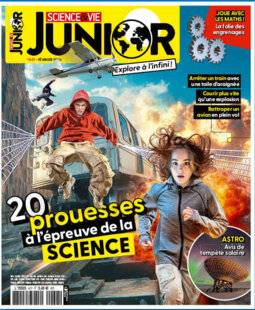 Science & Vie Découvertes 328 JOURNALISTE SCIENTIFIQUE