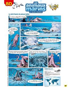 Science & Vie Découvertes 328 Les animaux marins en bande dessinée