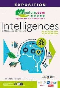 Science & Vie Découvertes 328 CERVEAUX EN SURCHAUFFE