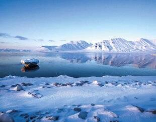 Science & Vie Découvertes 329 DES OURS AU POIL