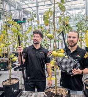 Science & Vie Découvertes 329 TOMATES VIBRANTES