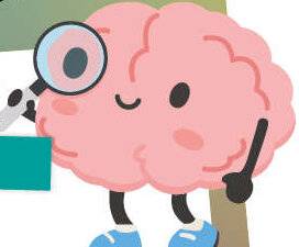 Science & Vie Découvertes 329 10. COMMENT LE CERVEAU PERÇOIT-IL LES COULEURS ?