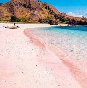 Science & Vie Découvertes 329 22. POURQUOI EXISTE-T-IL DES PLAGES ROSES ?