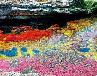 Science & Vie Découvertes 329 23. QUELLE RIVIÈRE EST LA PLUS COLORÉE DU MONDE ?